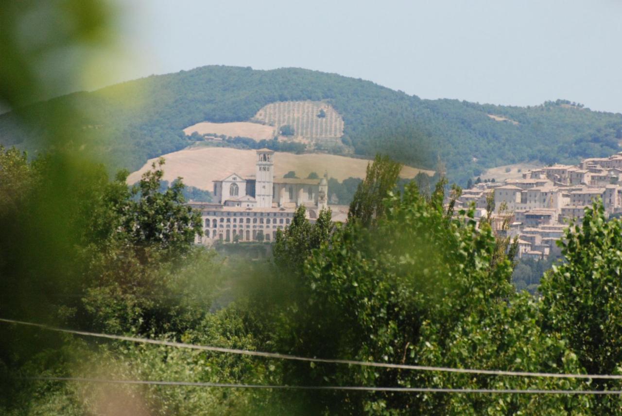 Agriturismo"Il Sagrato Di Assisi" Appartamenti,Camere Екстериор снимка