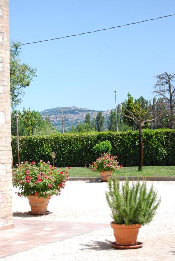 Agriturismo"Il Sagrato Di Assisi" Appartamenti,Camere Екстериор снимка