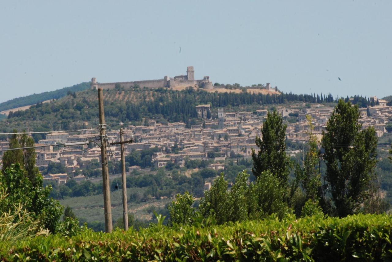 Agriturismo"Il Sagrato Di Assisi" Appartamenti,Camere Екстериор снимка