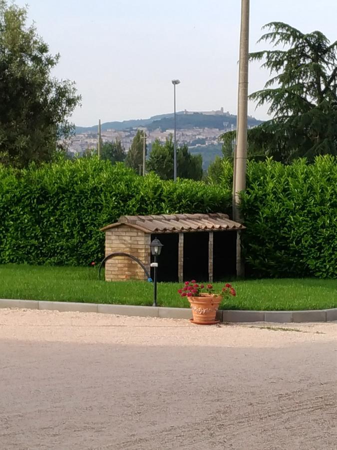 Agriturismo"Il Sagrato Di Assisi" Appartamenti,Camere Екстериор снимка