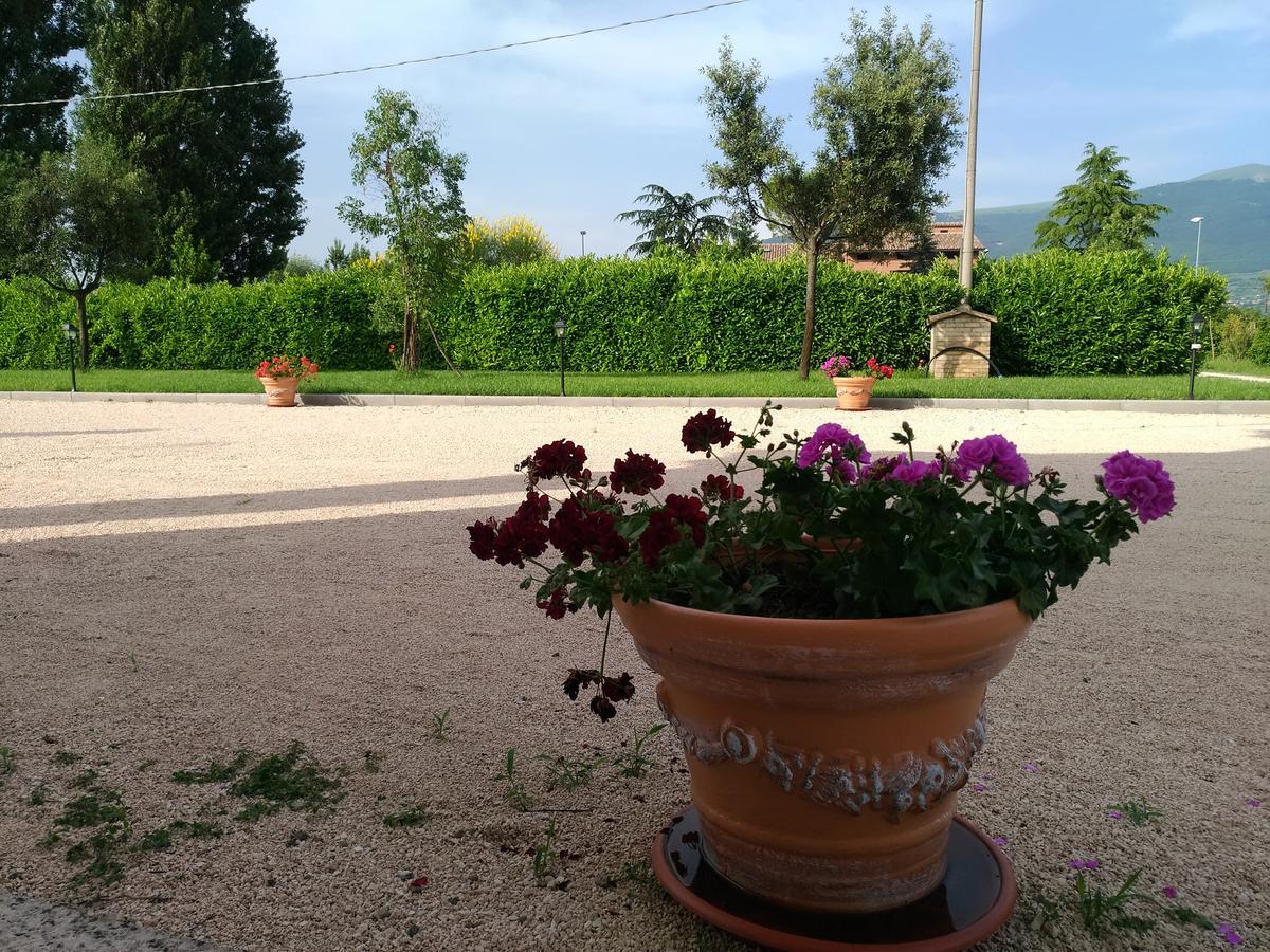 Agriturismo"Il Sagrato Di Assisi" Appartamenti,Camere Екстериор снимка