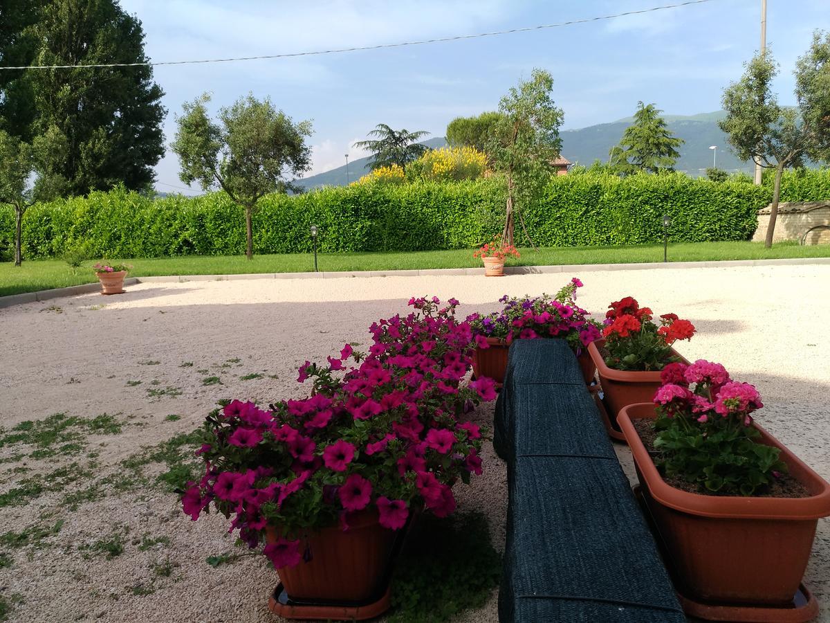 Agriturismo"Il Sagrato Di Assisi" Appartamenti,Camere Екстериор снимка