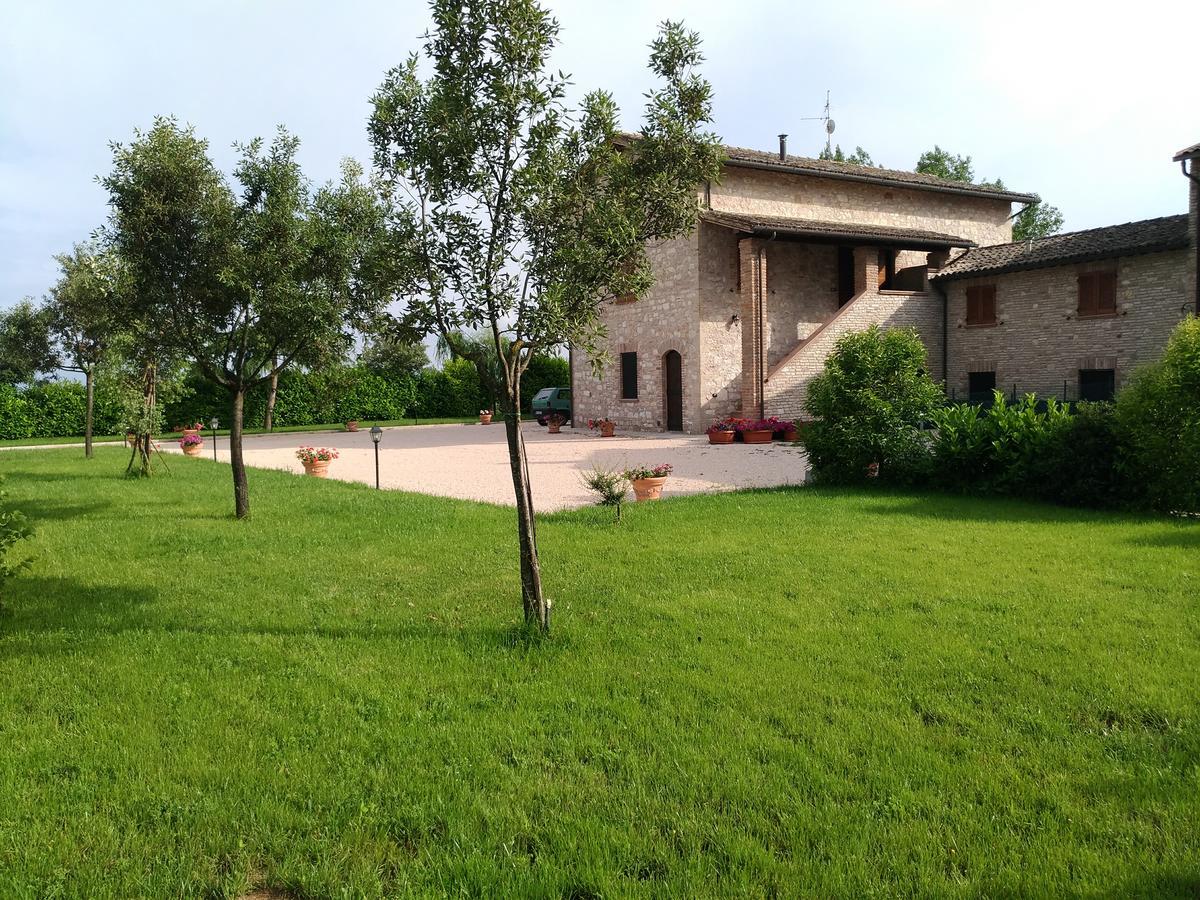 Agriturismo"Il Sagrato Di Assisi" Appartamenti,Camere Екстериор снимка