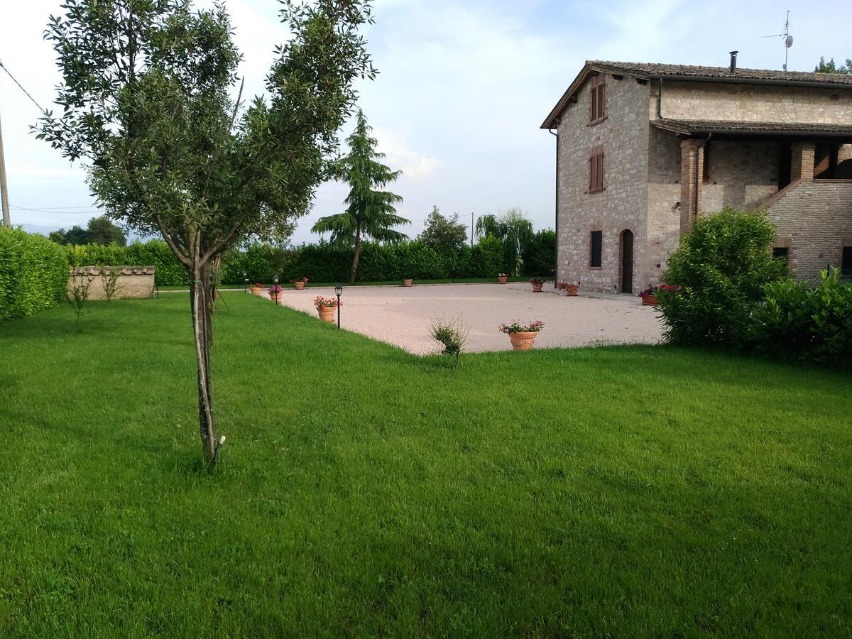 Agriturismo"Il Sagrato Di Assisi" Appartamenti,Camere Екстериор снимка