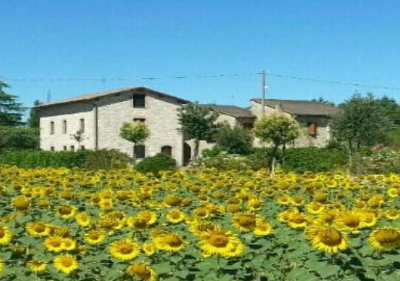 Agriturismo"Il Sagrato Di Assisi" Appartamenti,Camere Екстериор снимка